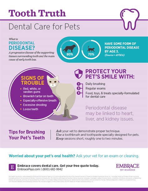 Some pet insurance companies do offer dental care insurance, but it is structured differently than normal pet insurance and at an additional cost. Bad Breath Could Mean A Dental Disaster For Pets