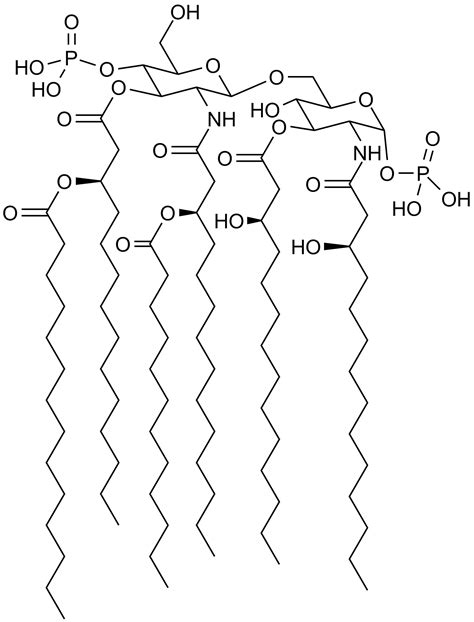 Chemical Structure Of Lipids