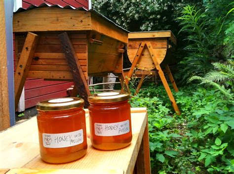 Che Guebee Apiary My First Ever Honey Harvest
