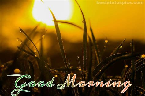 Top 51 Beautiful Good Morning Nature And Scenery Images Hd Best Status Pics
