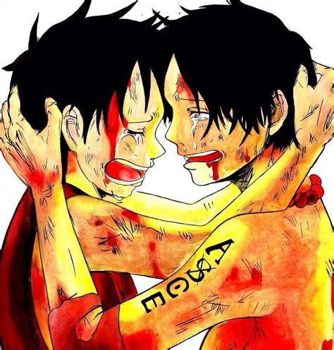 Ace And Luffy Wiki Anime Amino
