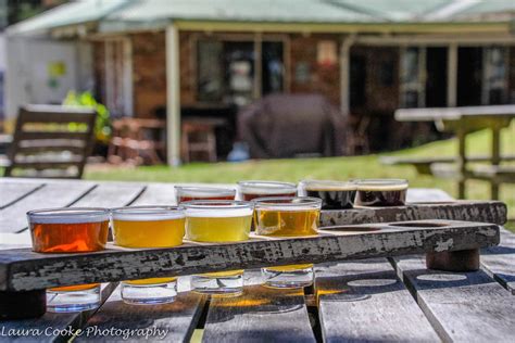 the bushshack brewery we love craft beer