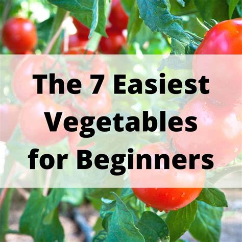 7 Easiest Vegetables To Grow For An Abundant Harvest And 5 To Avoid