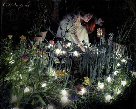 Create A Magical Moon Garden With Fragrant Flowers