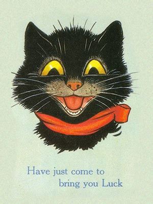 Maybe you would like to learn more about one of these? Black Cats: the Good, Bad and Misunderstood | The Animal ...