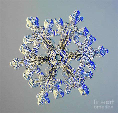 Snowflake Photograph By Kenneth Libbrechtscience Photo Library Fine