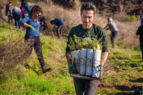 Forest Aid A New Campaign To Heal Our Forests Treepeople