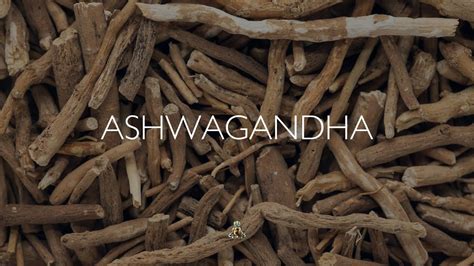 Ashwagandha Youtube