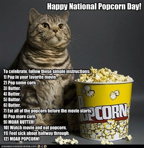 Happy National Popcorn Day Horror Movies Memes Funny Cat Pictures