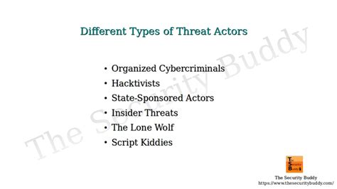 What Are The Different Types Of Cyber Threat Actors The Security Buddy