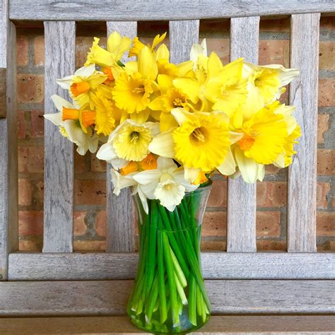Flowers That Go With Daffodils Flowers Vhk