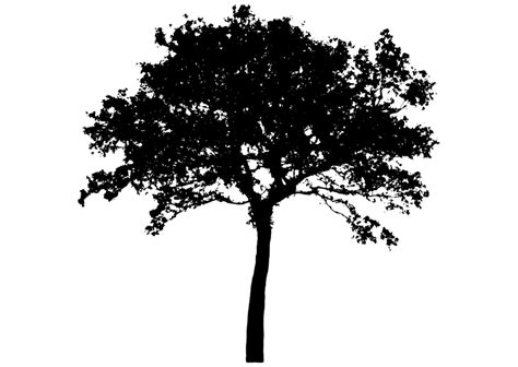 Landscape, trees, silhouette, tree, branches. Tree Silhouette | Free Stock Photo | Illustration of a ...