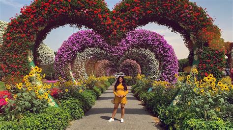 Miracle Garden Dubai 2019 Worlds Largest Natural Flower Garden