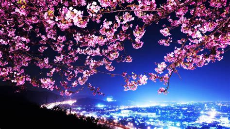 Red Cherry Blossom Wallpaper 1920x1080 Cherry Blossoms Ps4 Anime