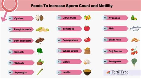 18 Best Foods To Increase Sperm Count And Motility