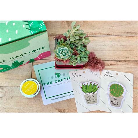 cratejoy subscription boxes are on sale for the holidays