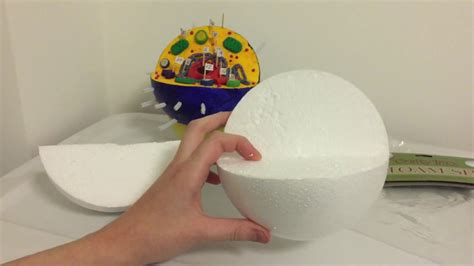 Animal Cell Project Styrofoam Ball What Are The Materials And Steps