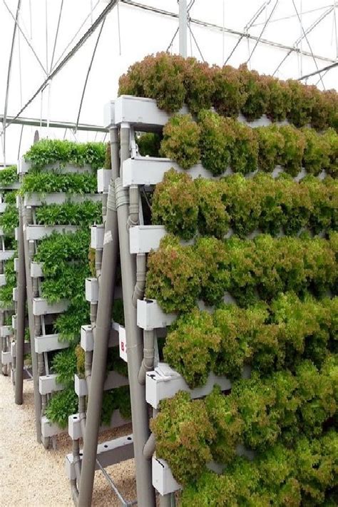 How To Use A Hydroponic Tower For Growing Plants