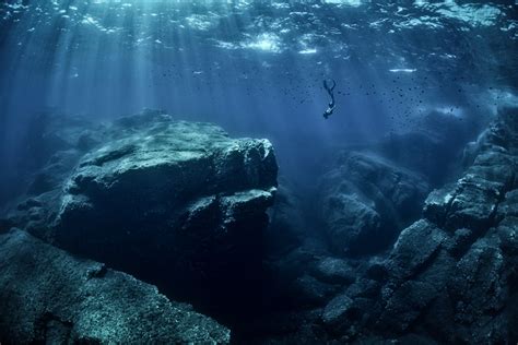 Подводный пейзаж много фото