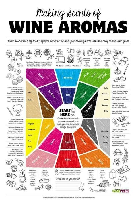 wine aroma chart wine facts wine guide wine tasting
