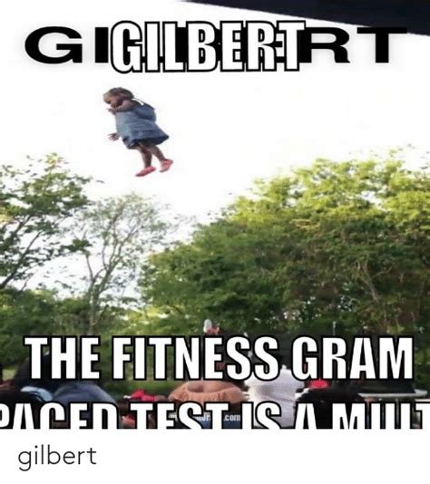 Gilbert Gilbert Meme On Meme