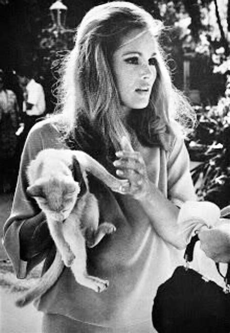 Ursula Andress And Her Cat Photographed For Vogue 1966 Ursula