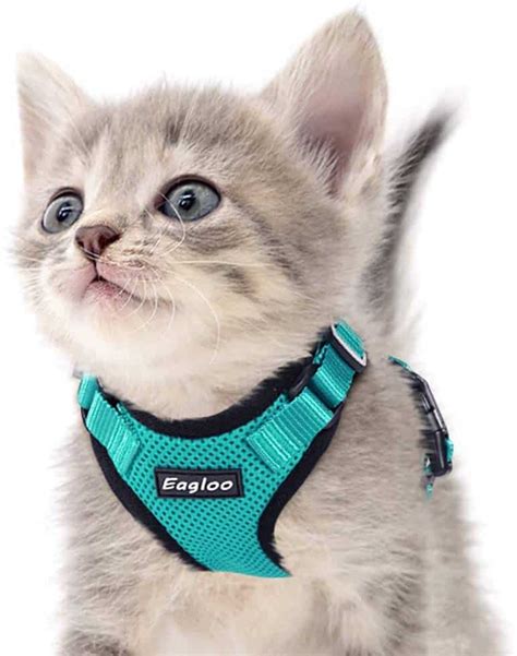 8 Of The Best Cat Harnesses Of July 2023 Plus Our In Depth Guide
