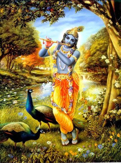 Advait Why Does Krishna Wear A Peacock Feather