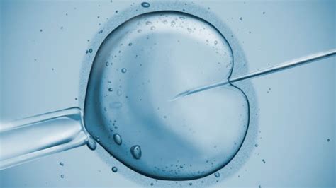 In case you are interested in delving deeper on. In Vitro Fertilization (IVF) Explained - Austin Fertility ...