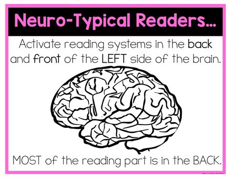 Reading And The Brain Sarahs Teaching Snippets