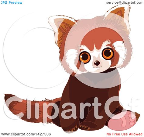 Clipart Of A Cute Adorable Baby Red Panda Sitting Royalty Free Vector
