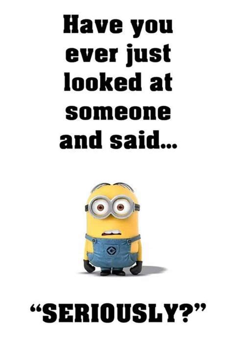 Top 50 Funny Minions Quotes And Sayings Daily Funny Quotes