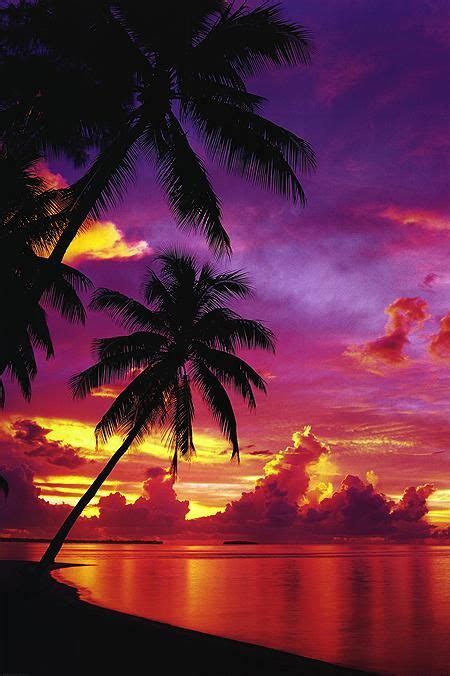 Sunrise And Palm Trees In 2022 Beautiful Sunset Pictures Sunset