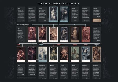 I made a family tree of the Olympian gods and goddesses : r/GreekMythology