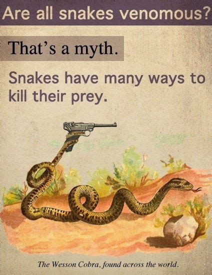 Funny Snake Sayings Facebook Best Of Forever Quotes