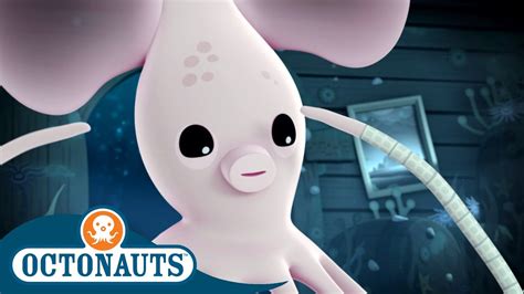 Octonauts Long Armed Squid And The Fiddler Crabs Cartoons For Kids