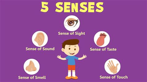 The Ultimate Guide To Sensory Processing Disorder