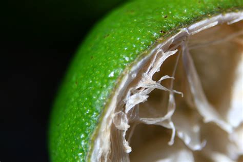Macro Photography Of A Lime Rightbrainphotography Flickr