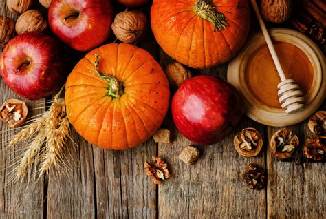 Pumpkin Spice Splendor 9 Fall Recipes For Your Chico Apartment