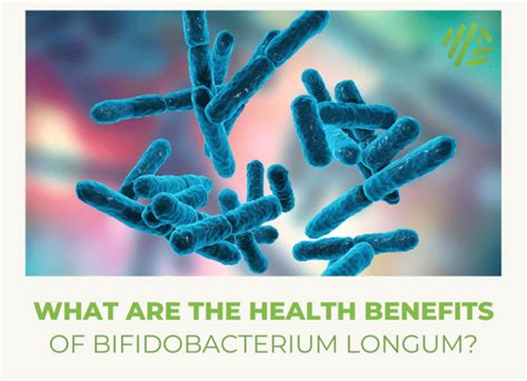 What Are The Health Benefits Of Bifidobacterium Longum Gene Food