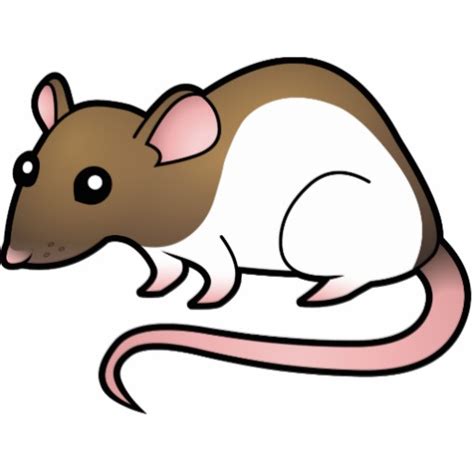 Cute Cartoon Rat Clipart Best
