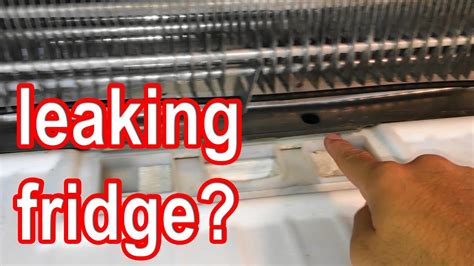 Check spelling or type a new query. DIY how to fix freezer leaking into refrigerator. Frozen ...
