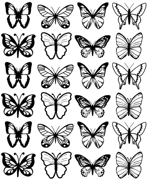 Butterfly Drawing Outline Small Butterfly Mania