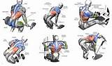 Muscle Mass Exercises Pictures