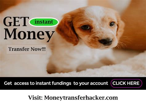 Can Dogs Eat Corn: A Complete Guide | by Geneva Poehler | Apr, 2024