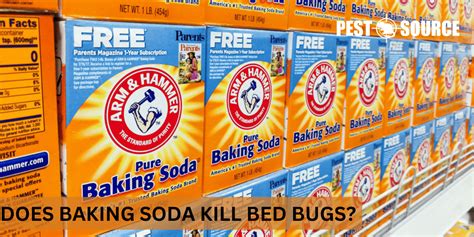 Does Baking Soda Kill Bed Bugs Pest Source