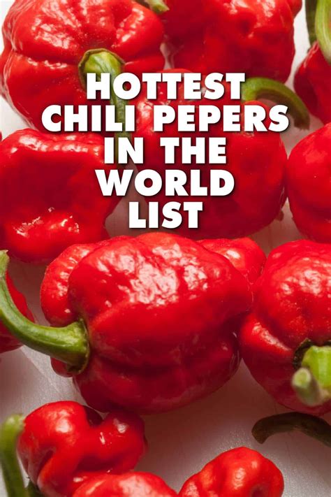 What Are The Hottest Peppers In The World 2023 List Stuffed Peppers Stuffed Hot Peppers Hot