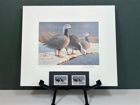 State Duck Stamp Prints At Discounted Prices