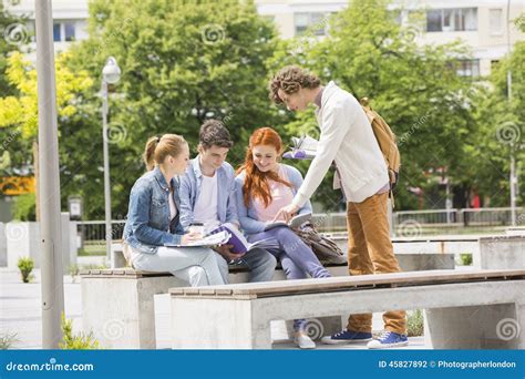 Happy Young College Friends Studying Together At Campus Stock Photo