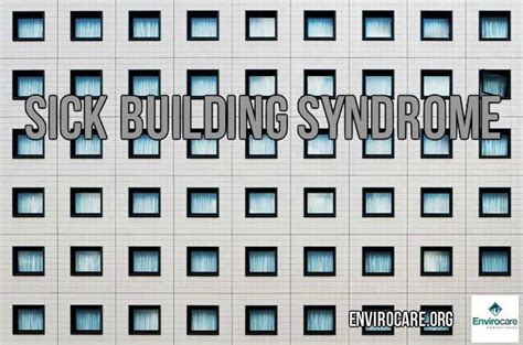 Sick Building Syndrome Sbs Solutions Envirocare Sick Building